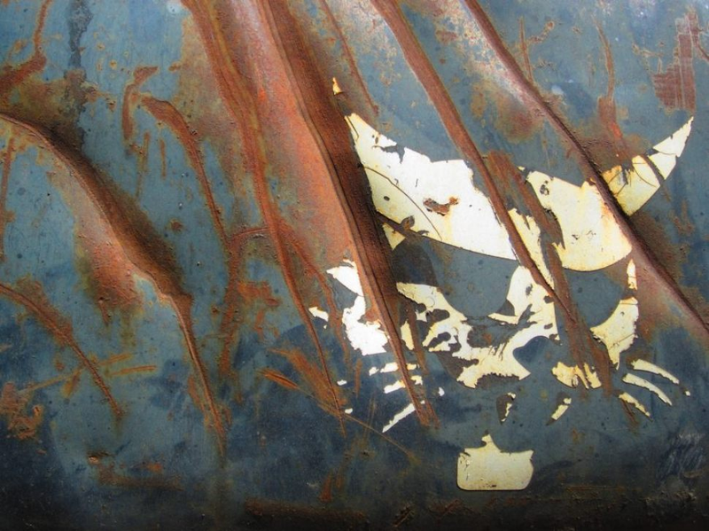 Illustration for article titled 27 Radiant Photos Of Rust